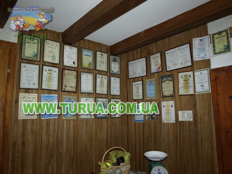 Винний підвал сім'ї «ШОШ»